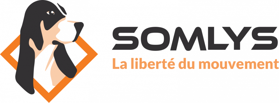 Logo Somlys.jpg