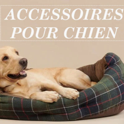 Les accessoires indispensables pour votre chien !